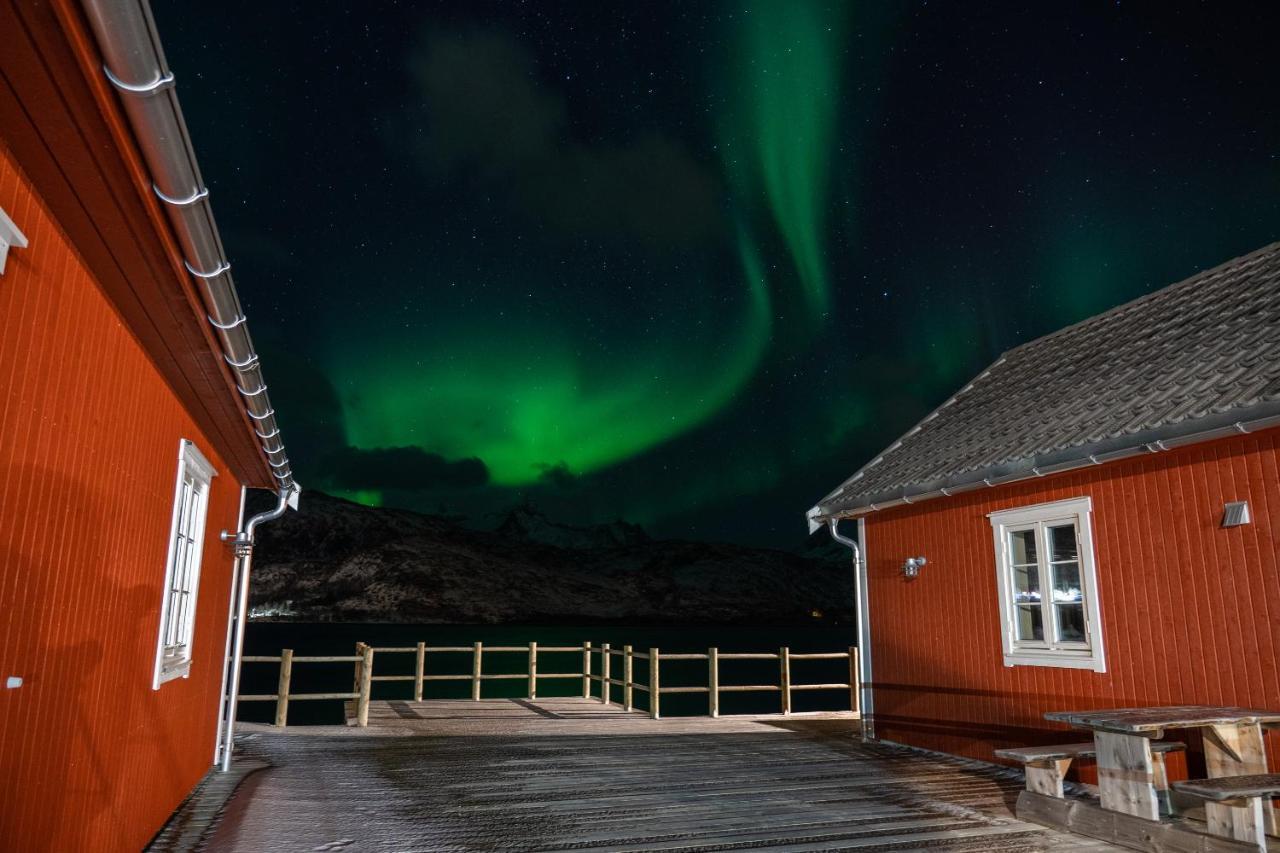 Lofoten - Kakern *